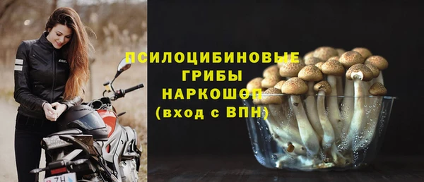 apvp Бронницы