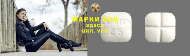 ALPHA-PVP Бородино