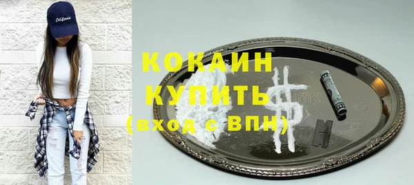 тгк Богданович