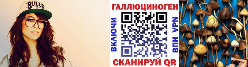 Галлюциногенные грибы Psilocybe  что такое наркотик  Вяземский 